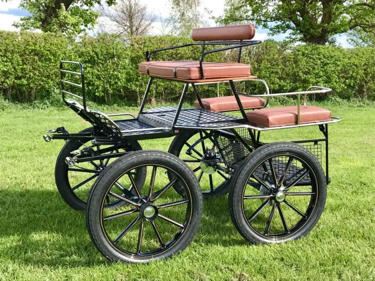Bennington Overlander wagonette carriage for single horse