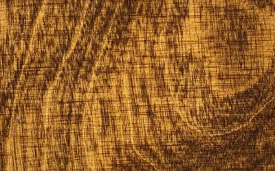 2263_Medium Oak
