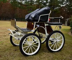 Cont 33 Order 3 24649 Max I - Lehman (22)