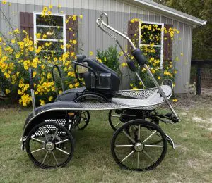 NHF Warrior 100 Shown here