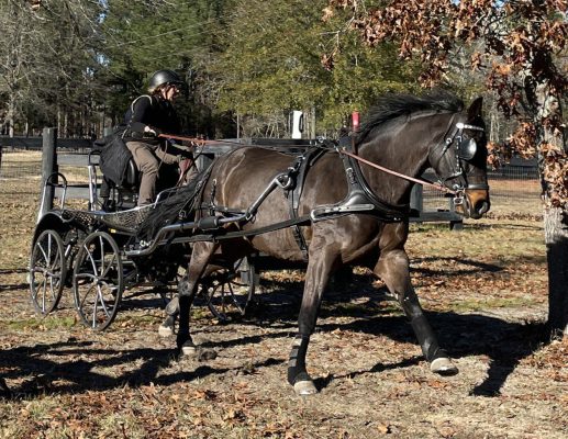 Marocchi and Rocky b