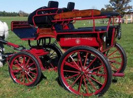 Max IV Bee Tree Trail Cropped Resized