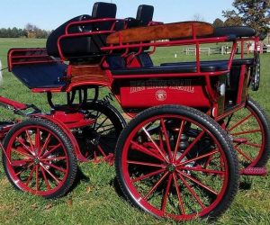 Max IV Bee Tree Trail Cropped Resized